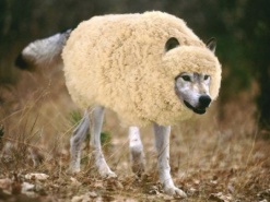 Провайдеры заявляют о подмене понятий в законодательстве о кибербезопасности