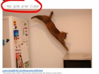 Как загрузить защищенные фотографии с Flickr