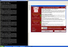 Зашифрованные WannaCry файлы на Windows XP можно вернуть бесплатно