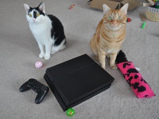 Sony раскрывает объём продаж PlayStation 4