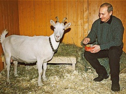 Internet PR - эффект бумеранга