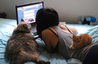 Жители Крыма ищут в Сети, как вернуть жену с помощью магии и непьющего мужа для мамы