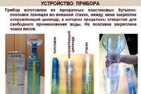 Российские школьницы вышли в финал детского научного конкурса Google