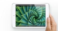 Apple тестирует новые дисплеи для iPad mini