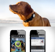 В США популярно устройство для ведения хроники жизни домашнего питомца