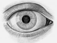 Здоровье Ваших глаз vs монитор