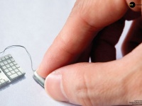 Казахского хаккера поймали в Москве