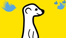 Twitter блокирует сервис трансляций Meerkat
