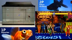 Канадский программист превратил аквариумных рыбок в виртуальных бойцов