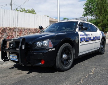 Английских полицейских увольняют за недопустимое поведение в соцсетях