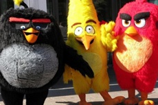 Разработчик Angry Birds объявил о планах по выходу на биржу