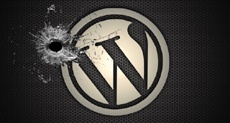 Хакеры эксплуатируют уязвимость нулевого дня в плагине к WordPress