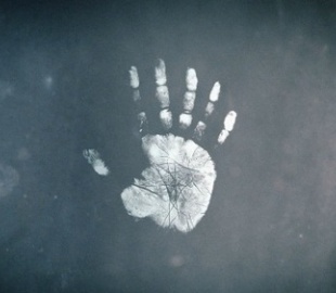 В Windows 8.1 может появиться функция распознавания отпечатков пальцев