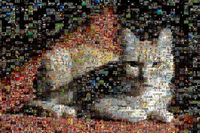 Бесплатный инструмент для создания фотомозаик