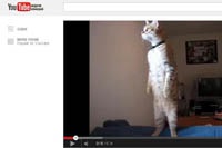 YouTube позволит смотреть видео оффлайн