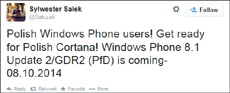 Обновление Windows Phone 8.1 GDR2 выйдет не ранее 2015 года