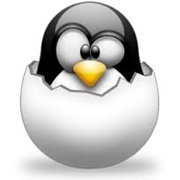 Системы на базе Linux инфицирует новый DDoS-ботнет