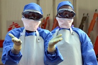 Эпидемии научились прогнозировать по «Википедии»