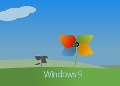 Бизнес разочарован и ждет Windows 9