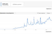 Во «ВКонтакте» нашли «пасхальное яйцо» с порностатистикой