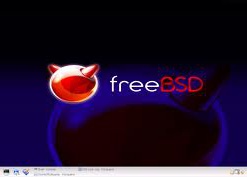 Вышли новые стабильные версии операционных систем FreeBSD и NetBSD