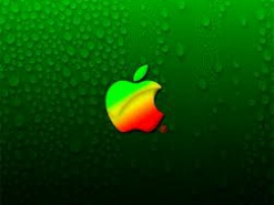 Дешевый iPhone будет выполнен из пластика?