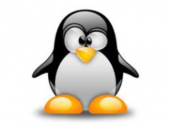Алан Кокс уходит из разработки ядра Linux