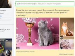 Статусы в "Одноклассниках" стали мультимедийными