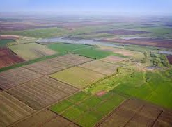 Электронный кадастр исключил махинации с землей, - Госземагентство