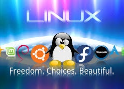 Linux Foundation: количество внедрений Linux растет третий год подряд