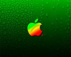 Дешевый iPhone будет выполнен из пластика?