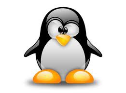 Гигантский российский Linux-проект почти завершен