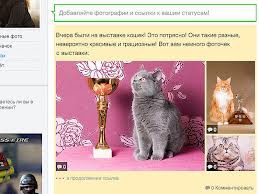 Статусы в "Одноклассниках" стали мультимедийными