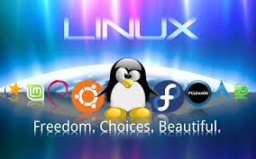 Linux Foundation: количество внедрений Linux растет третий год подряд