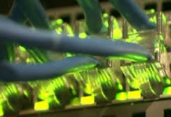 Как АНБ читает шифрованные чаты Skype и Outlook — и можно ли положиться на Android