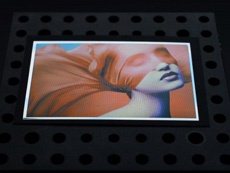 Учёные разработали технику печати двух изображений в одном