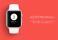 Apple запускает в Японии новогоднюю лотерею «фукубукуро»
