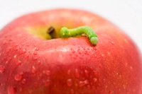 Патентный тролль VirnetX может получить 1% с продаж iPhone и iPad