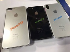 iPhone 7s, 7s Plus и iPhone 8 показались на совместном фото