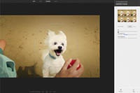 В соцсеть Google+ встроили фоторедактор