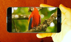 Первый взгляд на iPhone 8: реалистичный концепт безрамочного флагмана Apple