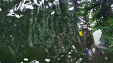 В GTA V обнаружили Хищника