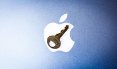 В Лондоне арестован участник хакерской группы, угрожающей удалить 300 млн аккаунтов пользователей iPhone и iPad