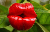 Ролик о самых невероятных фактах стал хитом в Интернете