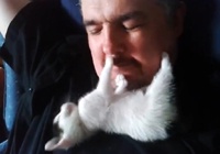 Ласковый котенок стал звездой Интернета