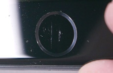 «Вы неправильно царапаете телефон»: Apple прокомментировала слухи об отказе от сапфировых стекол в iPhone 7