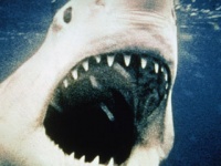 Прирождённые серийные убийцы