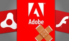 Adobe исправила 24 уязвимости в своих продуктах