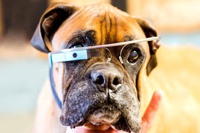Почему провалились «очки будущего» Google Glass