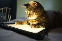 Технологии, которые вы не заметили